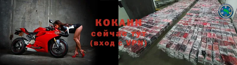 купить наркоту  Магадан  COCAIN VHQ 