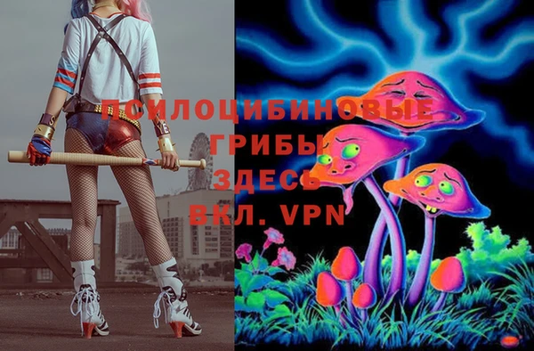 МДПВ Надым