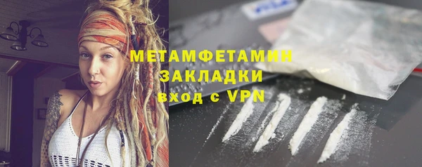 прущие грибы Нея
