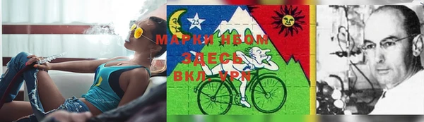 прущие грибы Нея