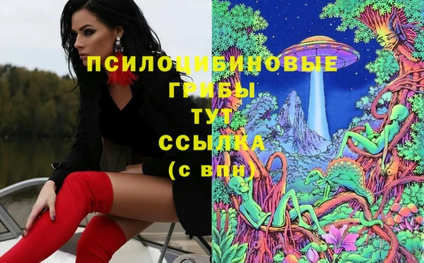 прущие грибы Нея