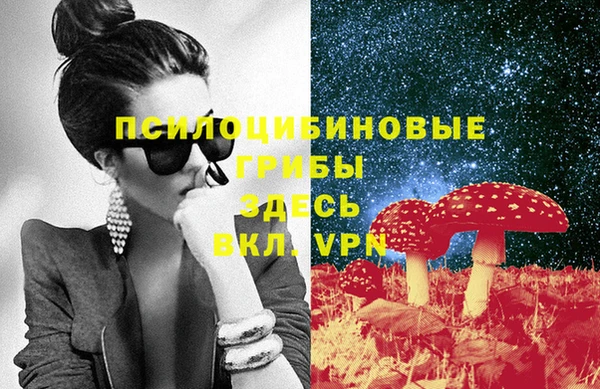 МДПВ Надым