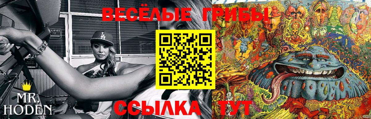 Галлюциногенные грибы MAGIC MUSHROOMS Магадан
