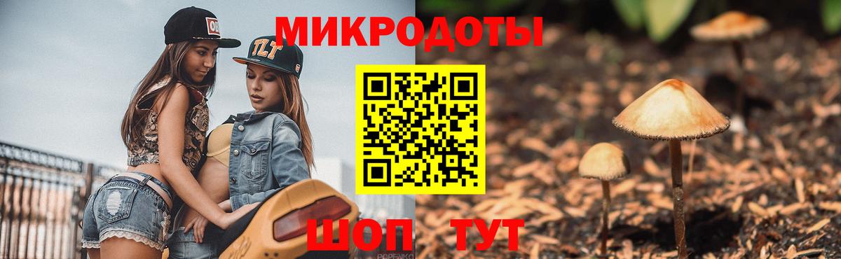 Псилоцибиновые грибы Psilocybine cubensis  Вход с VPN  Магадан  Псилоцибиновые грибы мицелий 